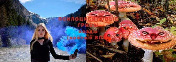 альфа пвп Бородино