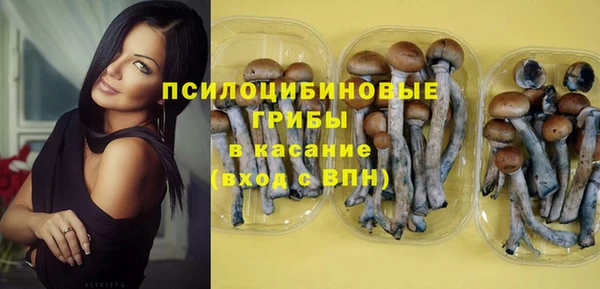 альфа пвп Бородино
